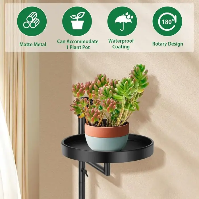 Support de plante de fenêtre rotatif en pot de plante verte