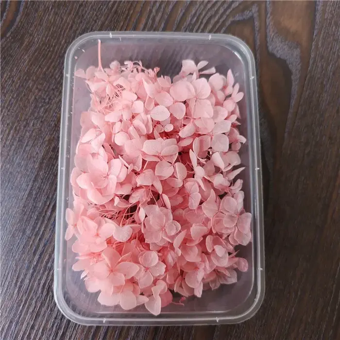 Couverture en verre de fleur préservée de la vie éternelle d'hortensia Anna