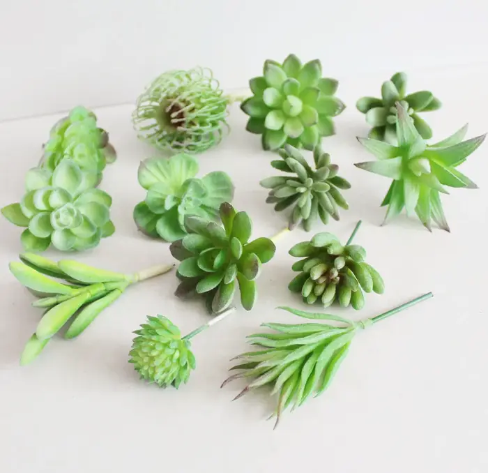 Plantes vertes succulentes artificielles