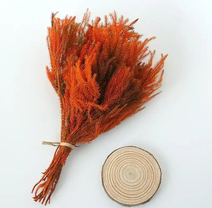 Lot de 2 branches de fleurs préservées | Branche de fleur Lycopodium japonicum pour Arrangement floral