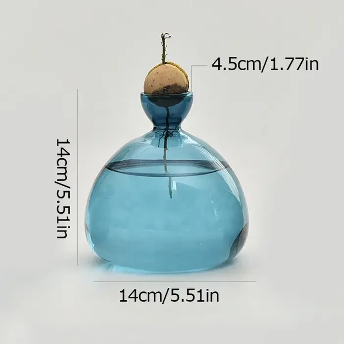 Vase hydroponique en verre Transparent