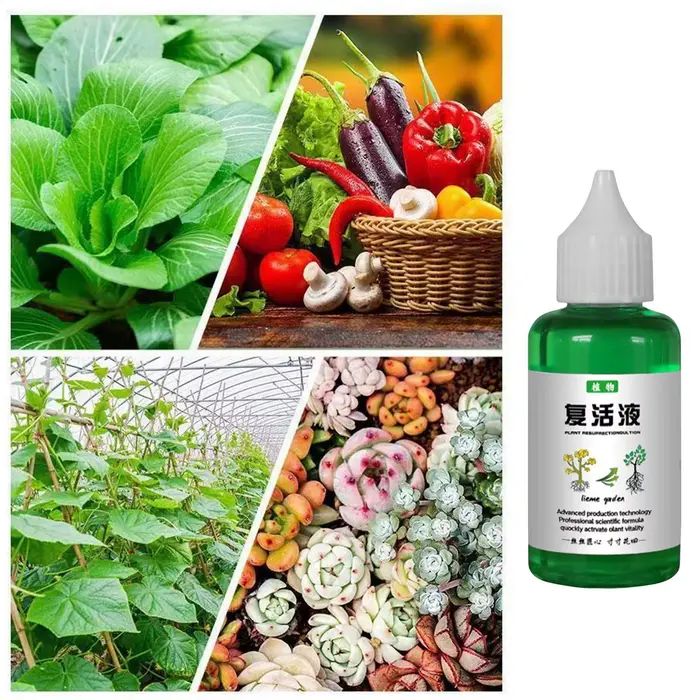 Liquide de résurrection revitalisant pour plantes