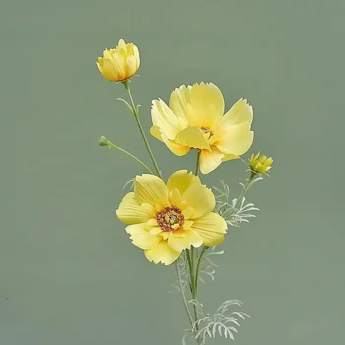 Gesang-Fausse fleur cosmos à branche unique