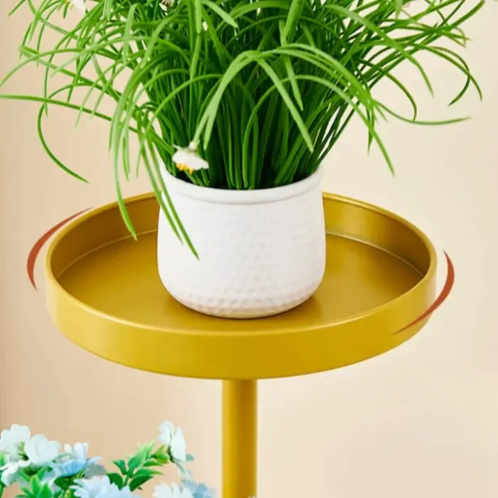 Étagère Flottante Dorée Européenne pour Plantes d'Intérieur