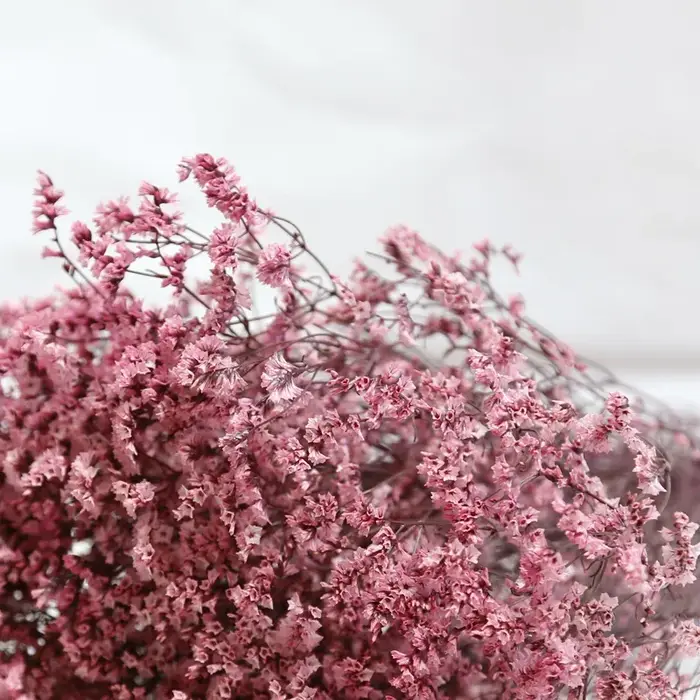 Fleurs naturelles séchées et conservées
