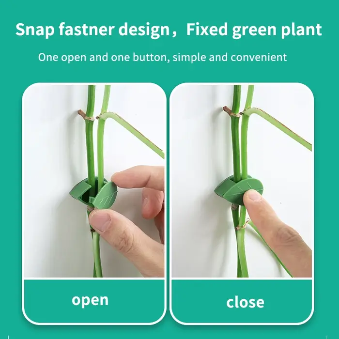 Fixation murale Invisible pour plantes grimpantes