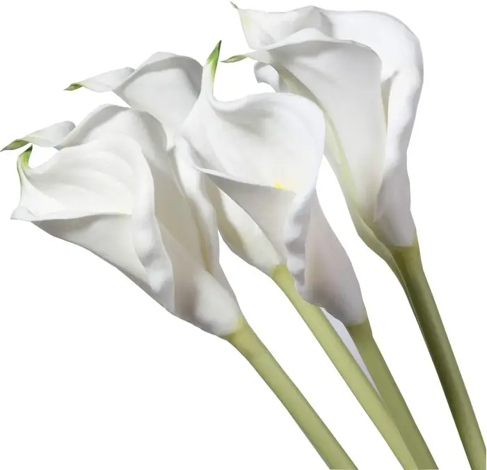 Grandes fleurs artificielles de calla blanches de 25 pouces