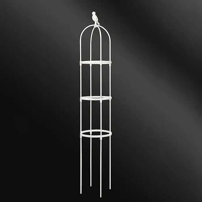 1 ensemble plante grimpante treillis jardin fleur
