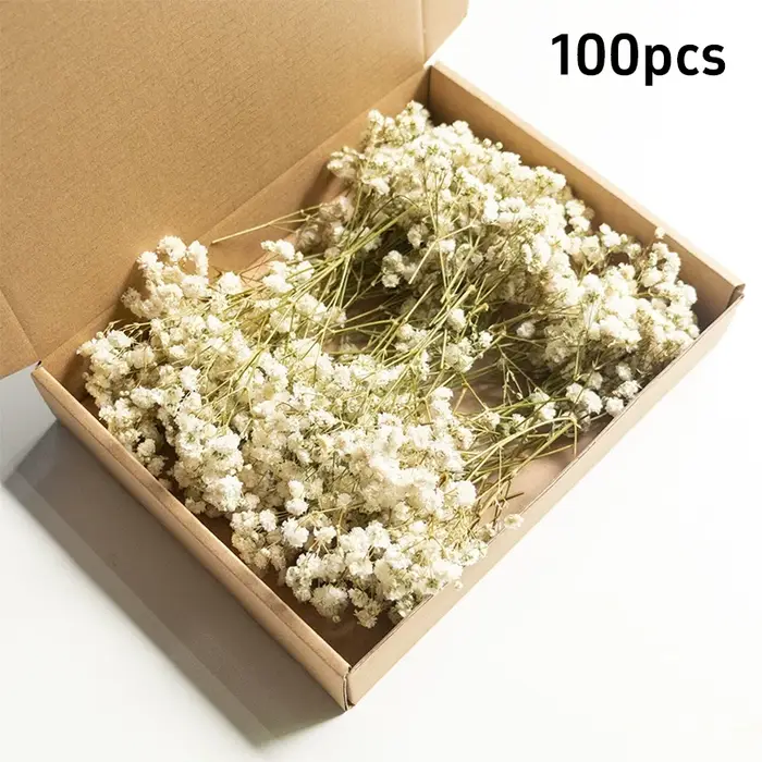 100 mini-fleurs séchées de gypsophile naturelles pour bricolage