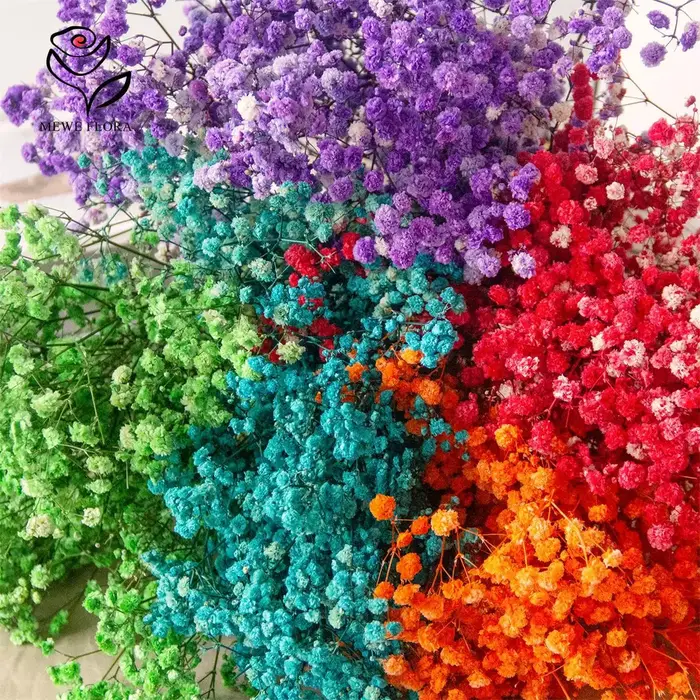Mélange de fleurs séchées Gypsophila pour bébé