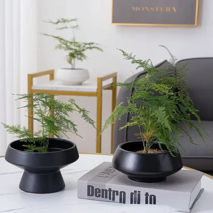 Vase rond en céramique pour fleurs hydroponiques