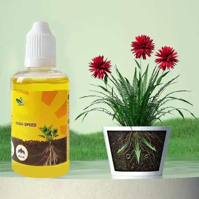 Solution nutritionnelle pour plantes