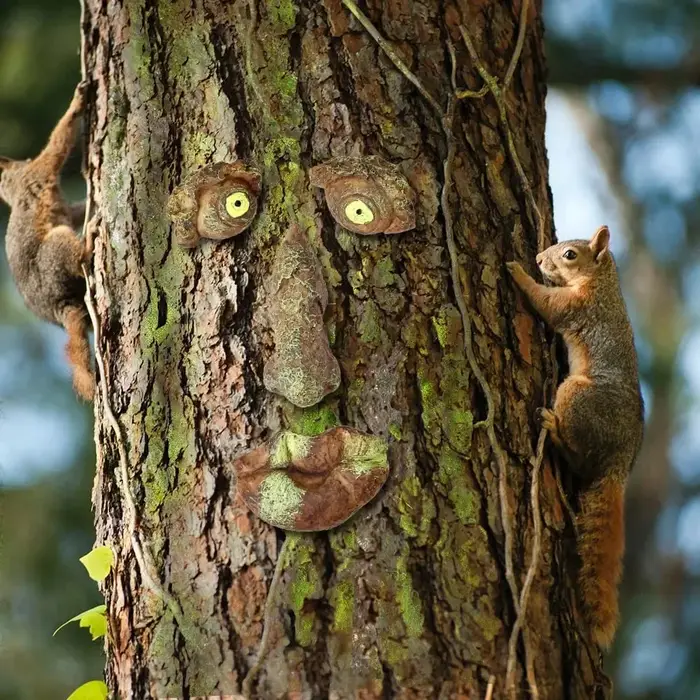 Décor extérieur de visages d'arbre
