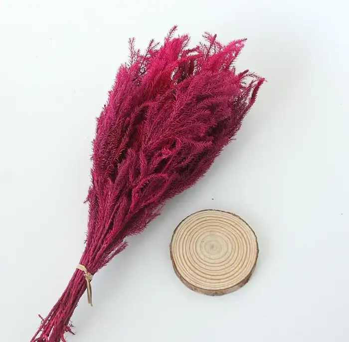 Lot de 2 branches de fleurs préservées | Branche de fleur Lycopodium japonicum pour Arrangement floral