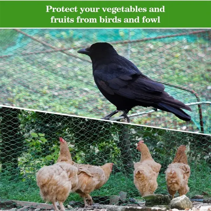 Filets à oiseaux verts pour protéger les plantes