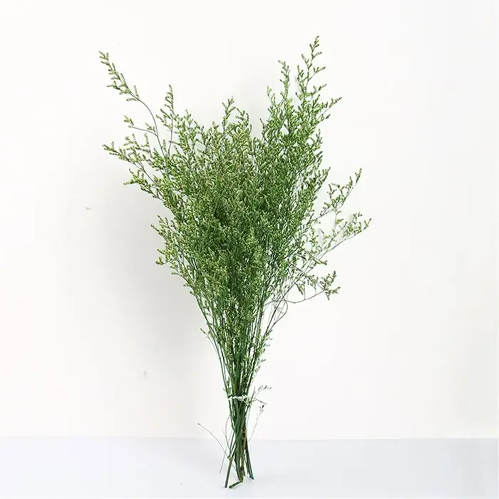 Bouquet de fleurs d'amant séchées naturelles