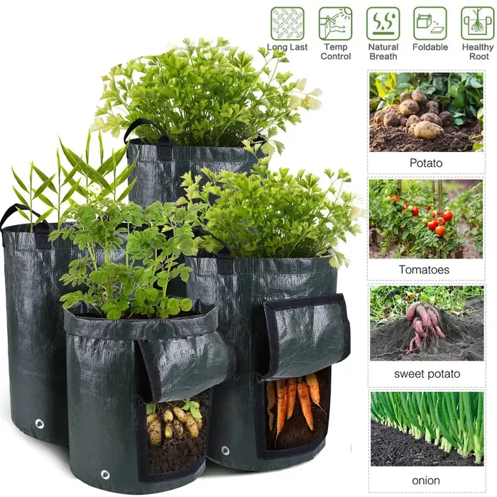 Sacs de culture de jardin 3/5/7/10 gallons, sacs de culture de pommes de terre, sacs de culture de plantes de jardinage, conteneur de jardinière de légumes et de carottes en tissu PE