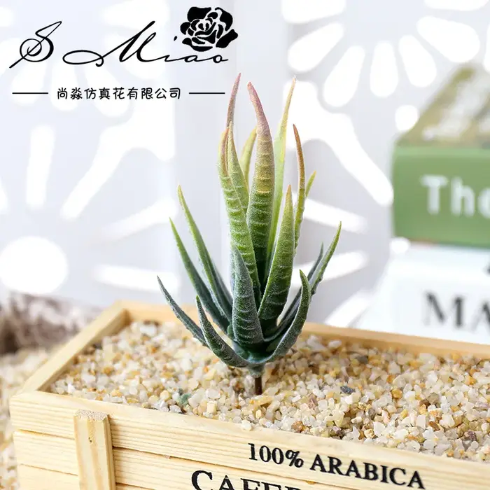 Wusmart Ban Ma Lu Hui plantes succulentes artificielles bricolage accessoires d'arrangement floral bureau Mini bonsaï tête de fleur