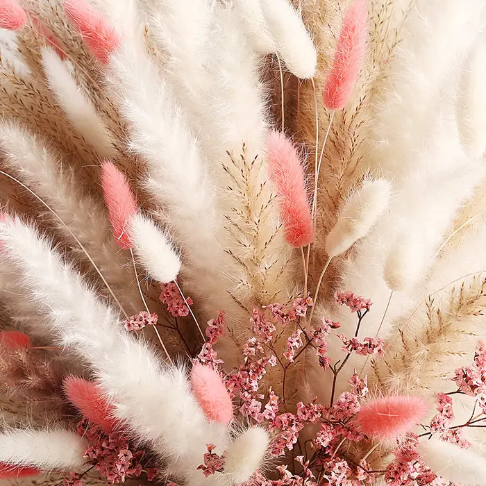Bouquets de fleurs séchées de Pampas rose éternel