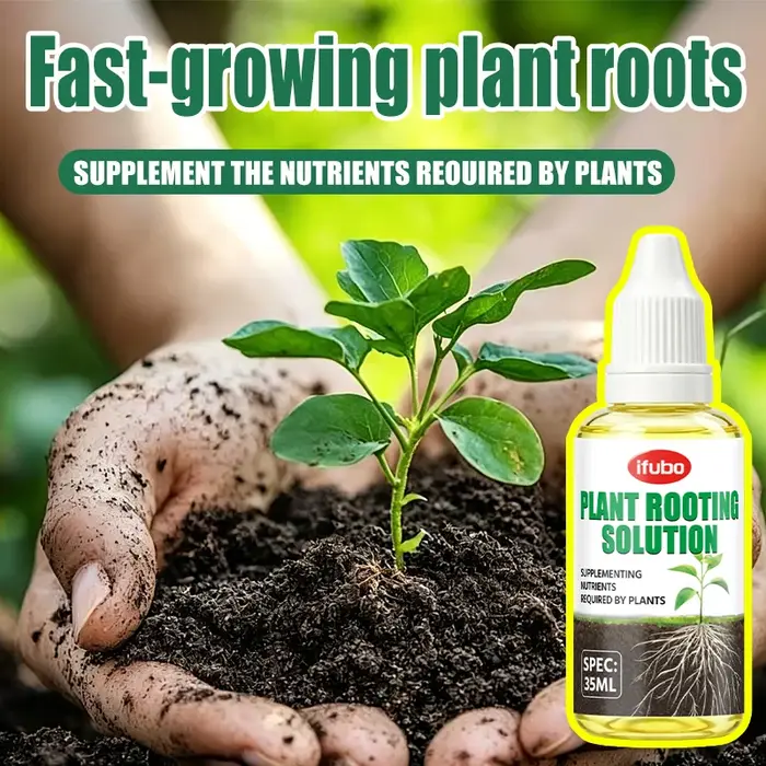 Solution nutritive pour l'enracinement des plantes