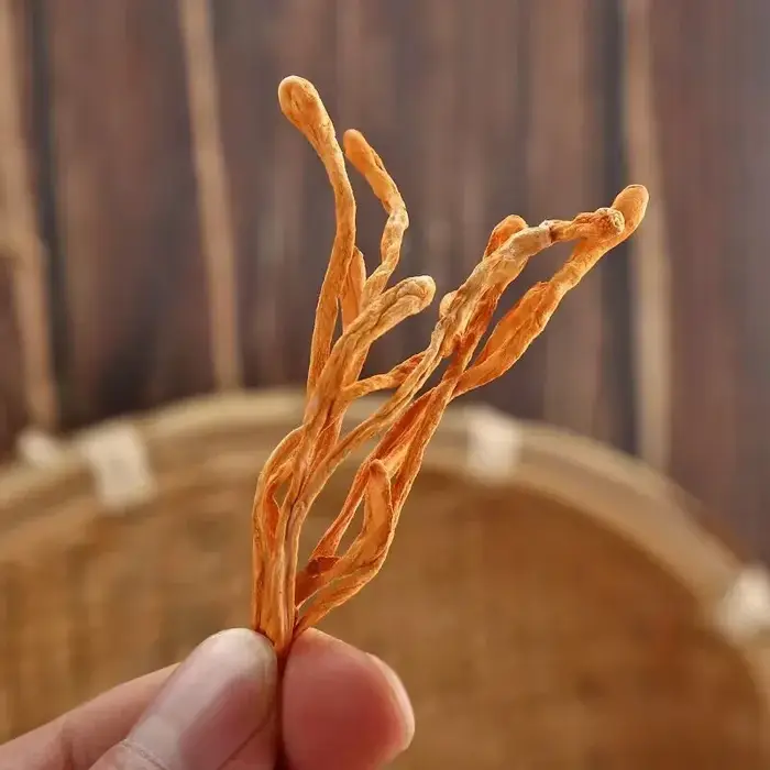 Fleur de Cordyceps séchée naturelle premium | Pour la beauté et le bien-être