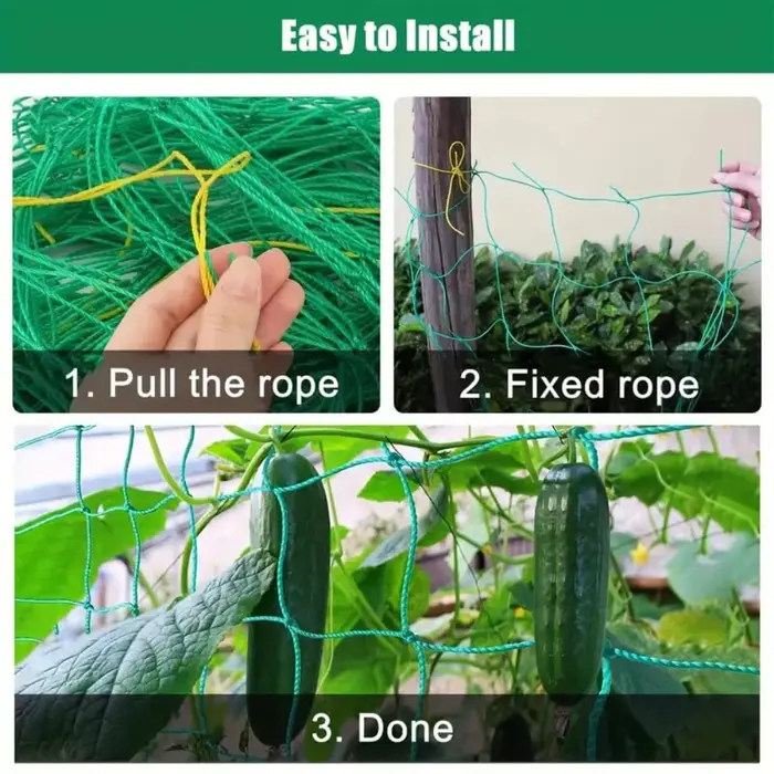 Pergola treillis robuste en polyester avec maille carrée pour plantes grimpantes et légumes