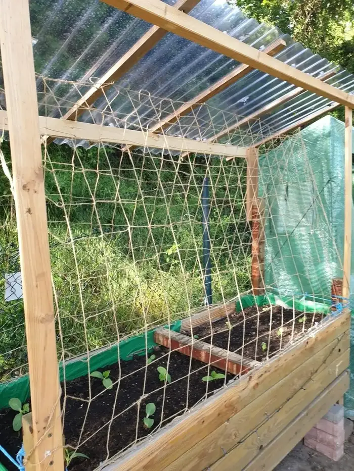 Filet en treillis de Support pour plantes