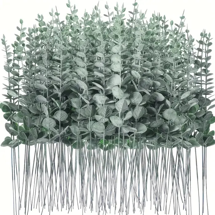 Feuilles d'eucalyptus vert foncé