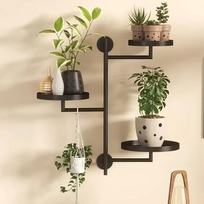 Support de plante de fenêtre rotatif en pot de plante verte