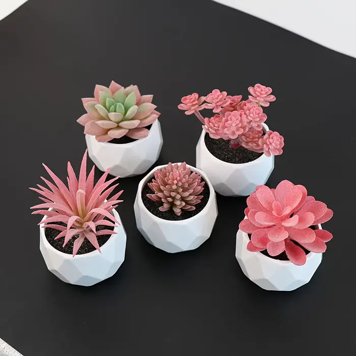5 mini-plantes succulentes artificielles réalistes avec pot