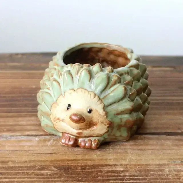 Jardinière en céramique hérisson mignon, finition glaçure au four, Pot de plantes succulentes de jar