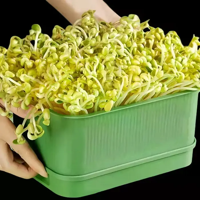 Pots de culture en plastique pour pépinière