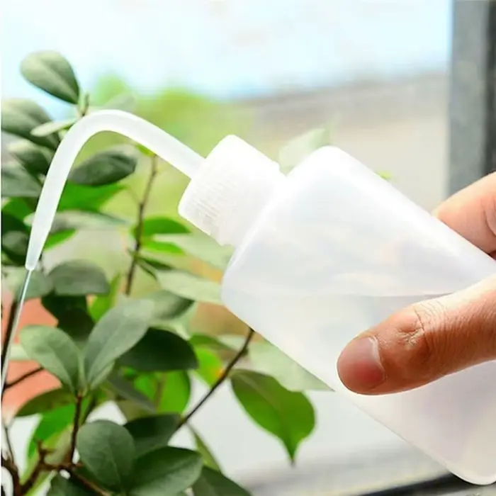Arrosoir bonsaï pour plantes succulentes, 250/ 500ml, outil de jardinage à bec long