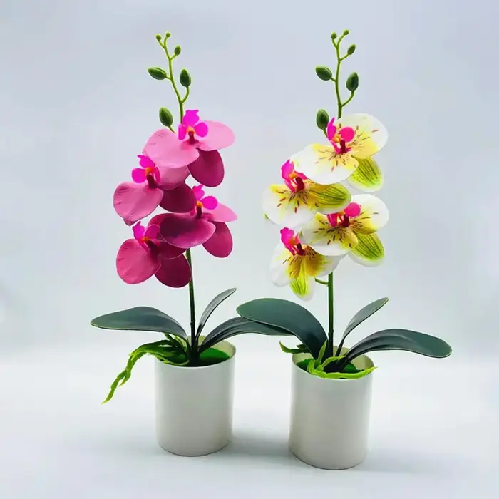 Plante Artificielle Phalaenopsis de 37x18cm