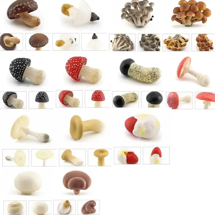 Figurines de champignons modèle végétal Matsutake Oyste Simulation artificielle champignon Pleurotus plante