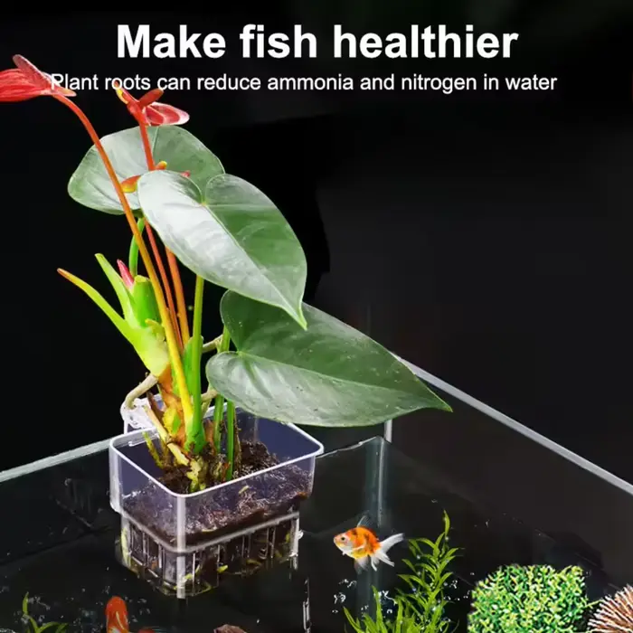 Bulles de poisson Aquarium eau herbe tasse plusieurs plantes hydroponique