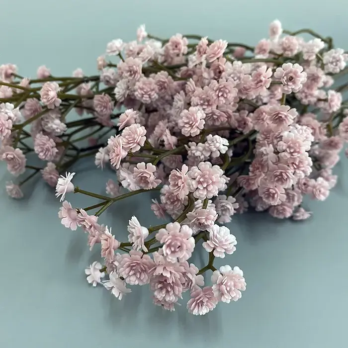 Fleur séchée Gypsophila de 62 cm de haute qualité