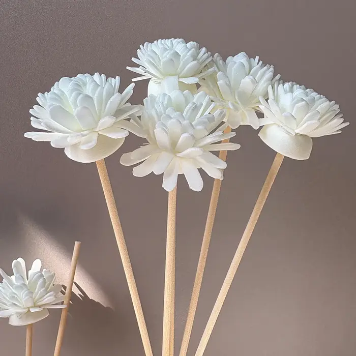 5/20/50pcs bâton de diffusion d'arôme et combinaison de fleurs en mousse blanche