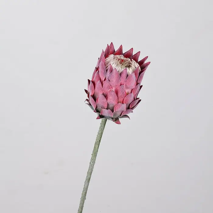 27, 5 pouces artificielle roi Protea fleur chardon nordique fausse