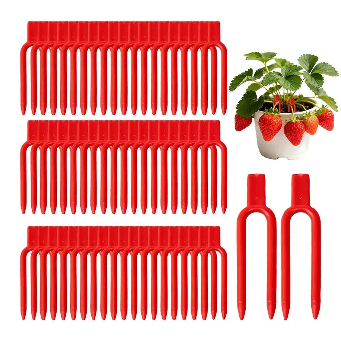 Lot de 100 fourches de plantation – Outil de fixation pour vignes