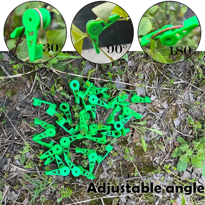 Clips de formation pour tiges de plantes