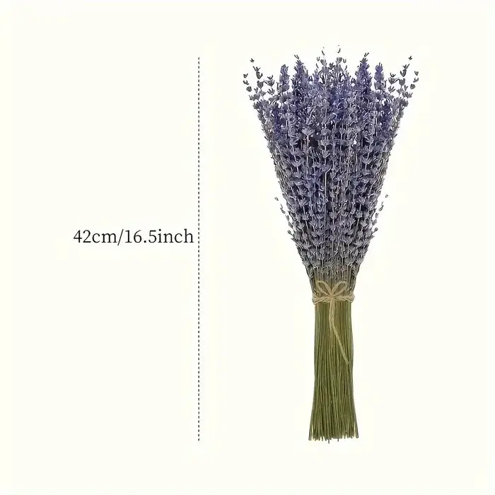 Mèches de fleurs de lavande séchées naturelles