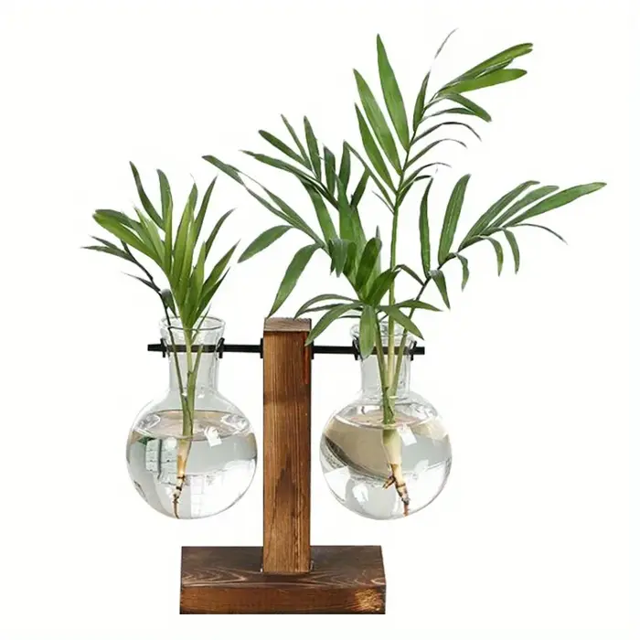 Vases à plantes hydroponiques