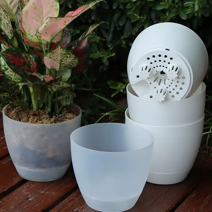 Pot de fleurs à auto-absorption pour bonsaï épicé