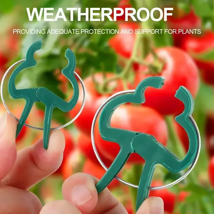 Clips fixes pour plantes réutilisables