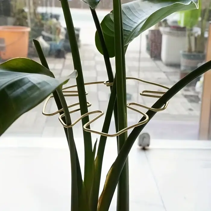 Stabilisateur de plantes