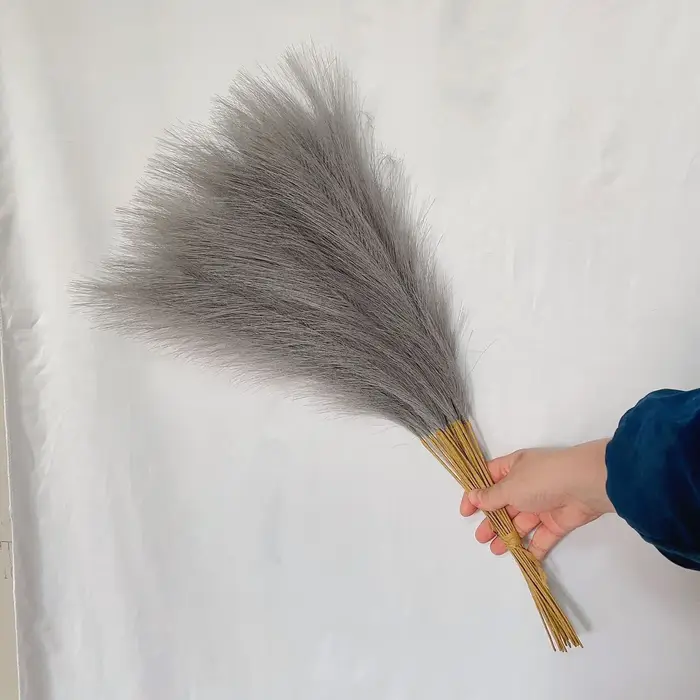 Pampa moelleux pour la décoration de la maison