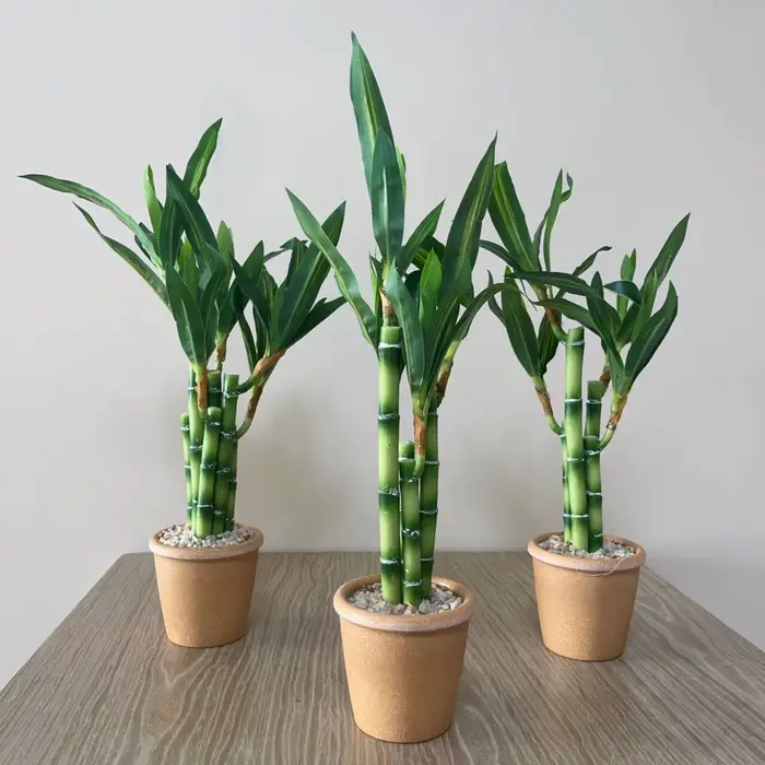 Plante artificielle en bambou porte-bonheur