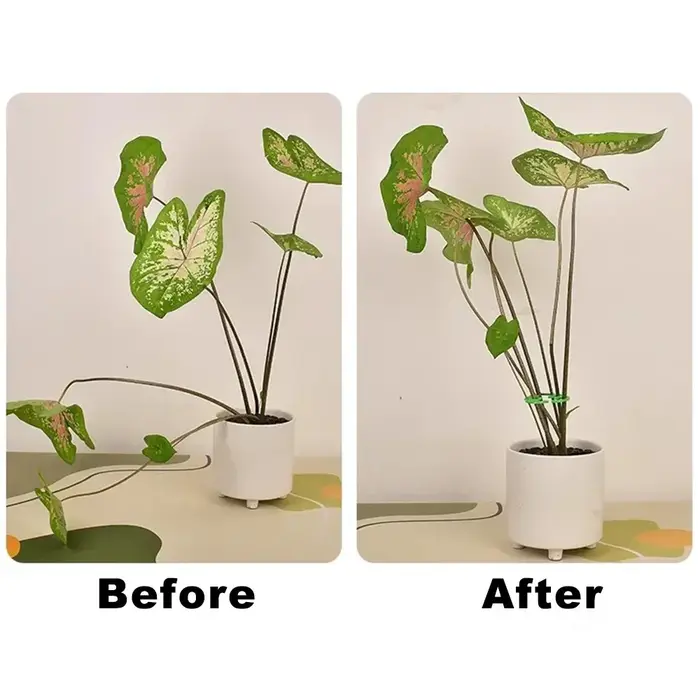 Supports de tiges de plantes