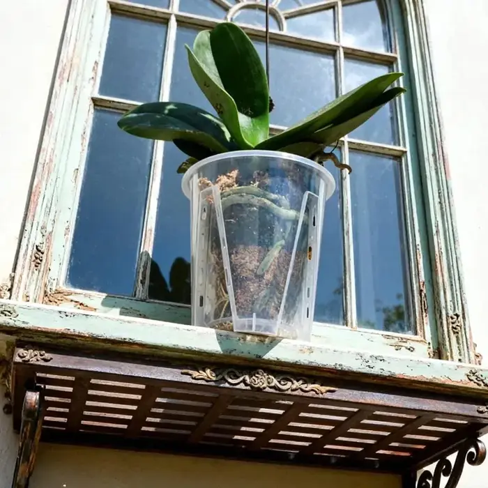 Pot de fleurs en plastique PP respirant pour orchidées
